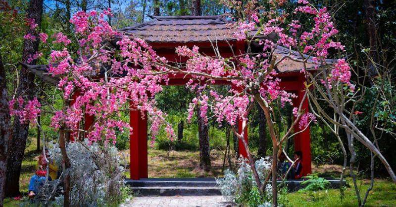 maps.google.com/Chandra Yudha B